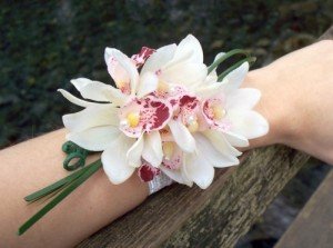336044_5