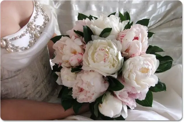 il bouquet sposa classico con peonie - Daniele Panareo fotografo di matrimoni a Lecce e provincia